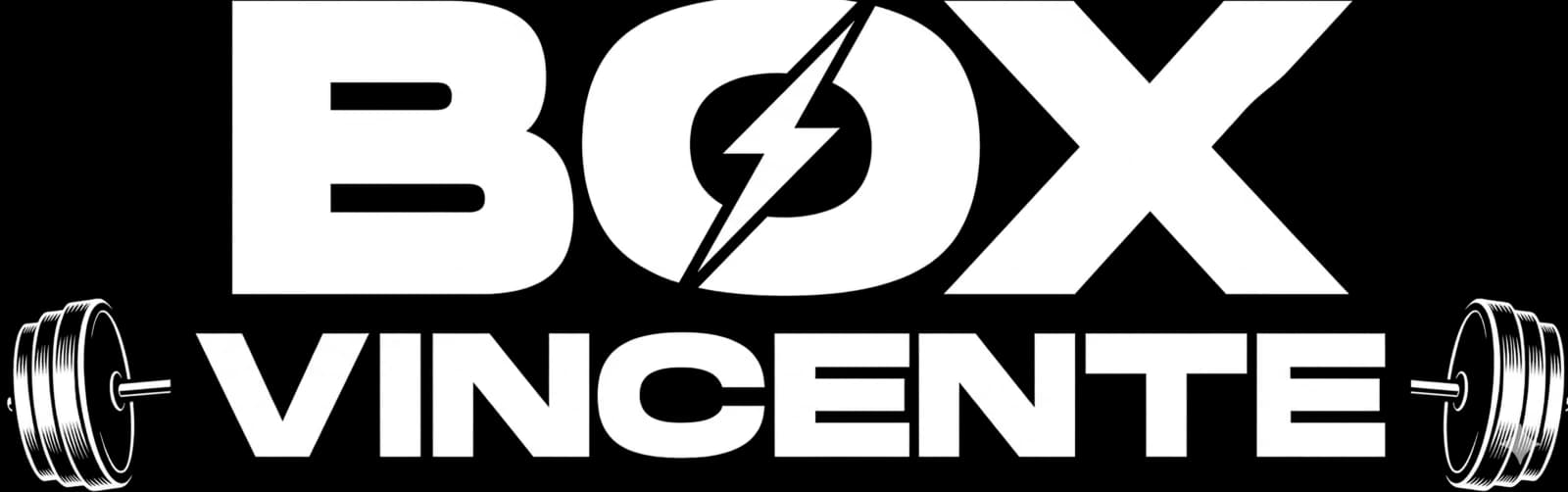 Logo Box Vincente